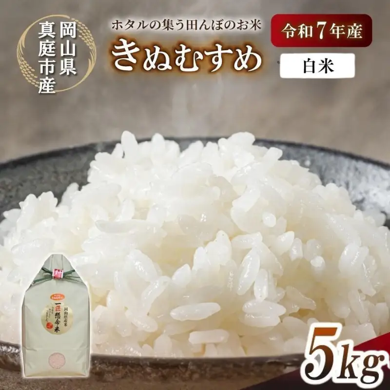 【米】 岡山県真庭市 きぬむすめ精米5kg白米 【tkns005-01-cho】
