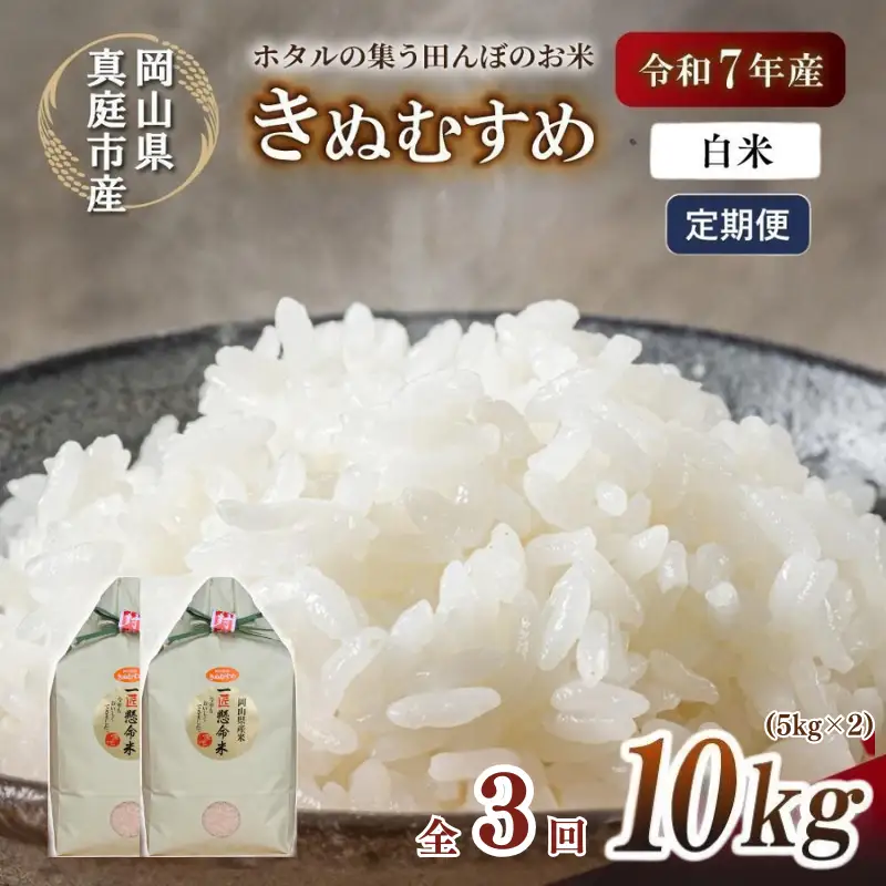 ＜定期便全３回＞ 米 岡山県産精米 令和7年産きぬむすめ白米10kg(5kg×2袋)×３回定期便 【tkns-tkb016-cho】
