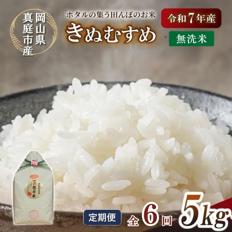 ＜定期便全６回＞ 米 岡山県産精米 令和7年産きぬむすめ無洗米5kg定期便 【tkns-tkb020-cho】