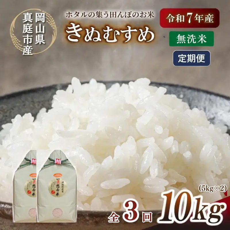 ＜定期便全３回＞ 米 岡山県産精米 令和7年産きぬむすめ無洗米10kg(5kg×2袋)定期便 【tkns-tkb022-cho】