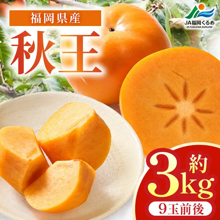 秋王-あきおう-(柿)ご家庭用 9玉前後(約3kg)【2026年11月上旬発送】【JA福岡くるめ にじの耳納の里】