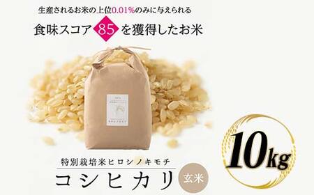 特別栽培米 コシヒカリ ヒロシノキモチ 玄米 10kg ブランド米 銘柄米 国産 米 お米 日本米 ギフト 贈り物 備蓄 防災 食品 陽咲玲 はるざれ F6T-989