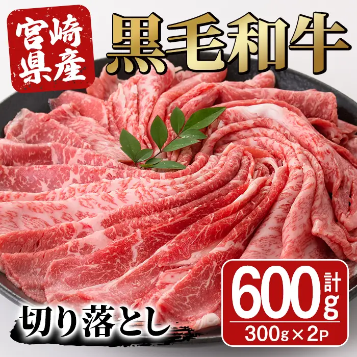 宮崎県産黒毛和牛切り落とし(600g・300g×2P)【SJ009】【日本ハムマーケティング株式会社】