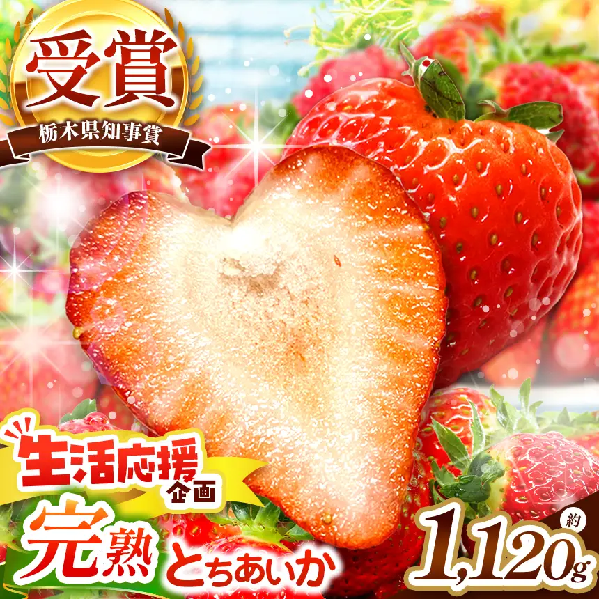 いちご 栃木の新定番 「とちあいか」 1,120g (280g×4P)| 澳原いちご農園 栃木県 矢板市