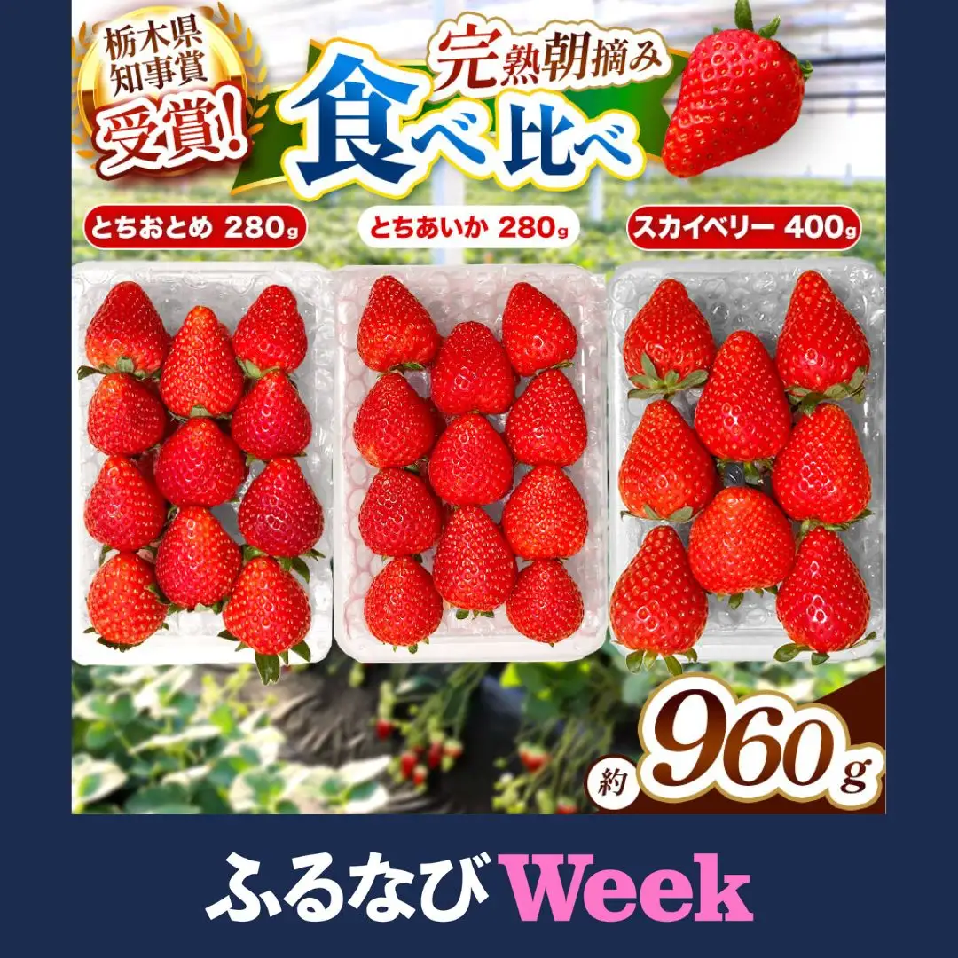 【ふるなびWEEK対象】【先行予約】[数量限定] 貴重な12月発送！贅沢な栃木のいちご3種食べ比べセット 960g | とちあいか とちおとめ スカイベリー