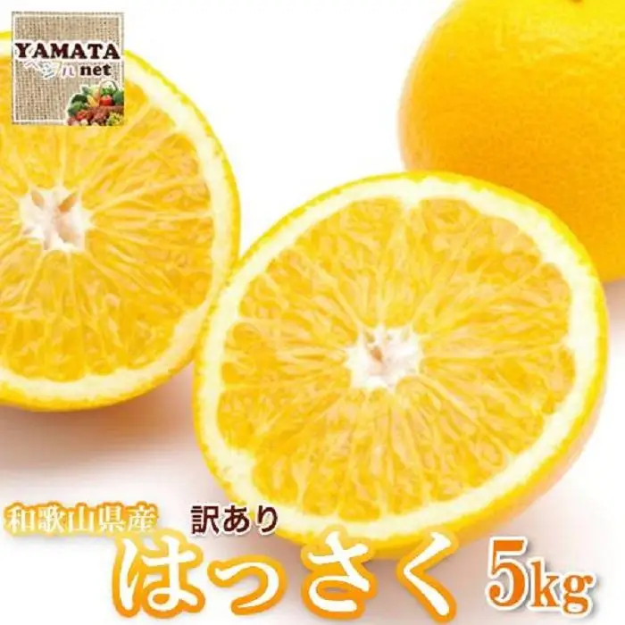 ［訳あり］ 和歌山産 八朔 5kg ［ご自宅用・サイズ不揃い・キズ等あり］