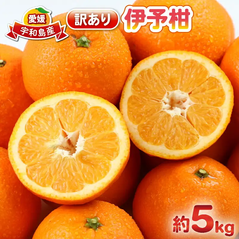 【2026年1月中旬～発送予定】訳あり伊予柑5kg杉本屋 果物 果物 B010-143006