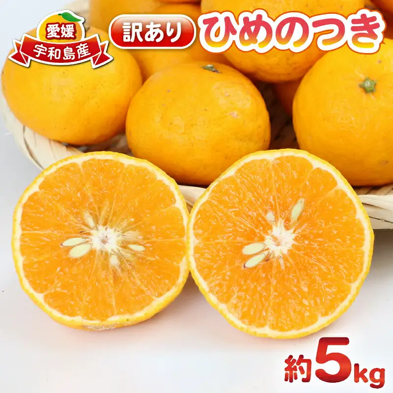 訳あり ひめのつき 5kg 杉本屋 柑橘 柑橘 B010-143007