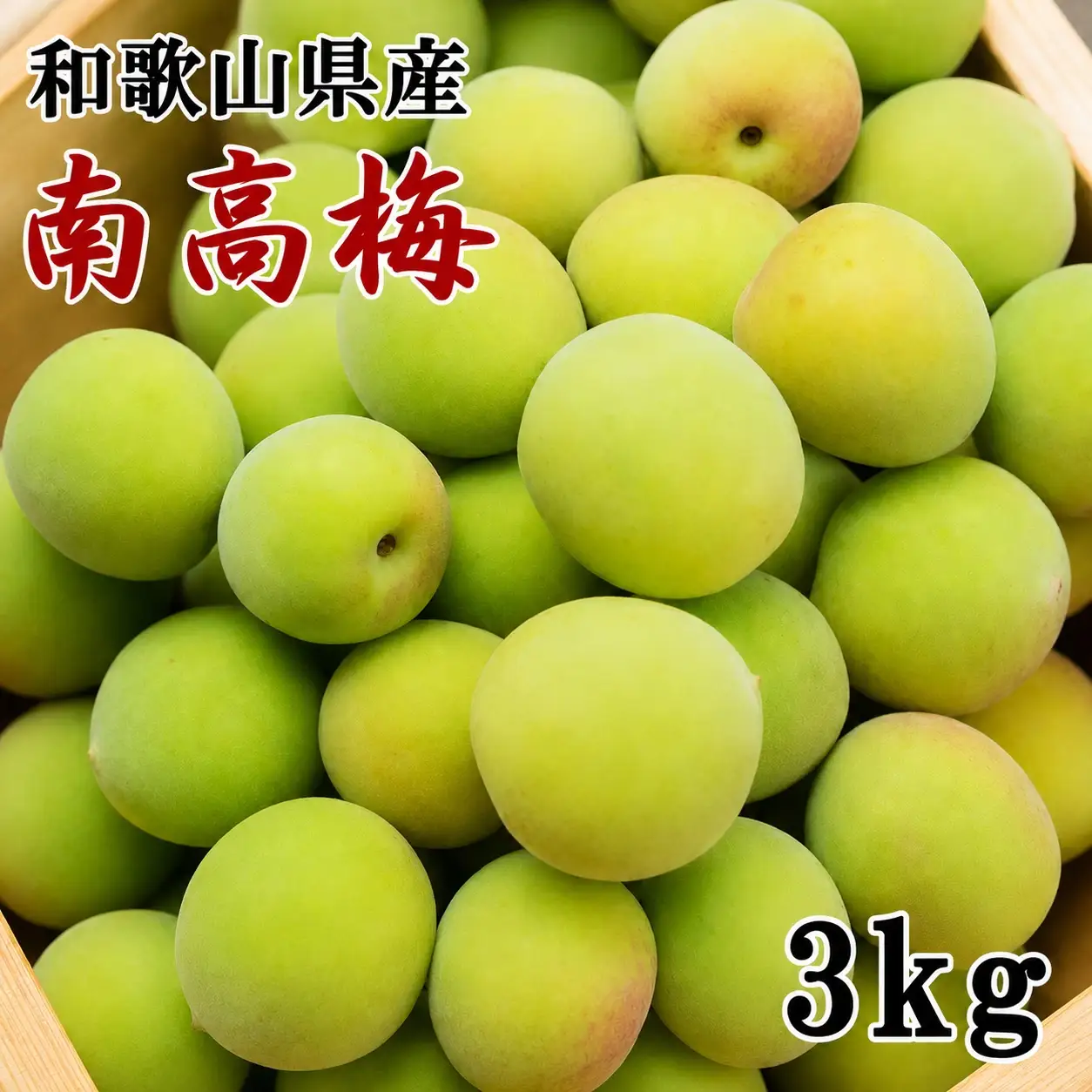 【和歌山名産】 南高梅 3kg （サイズ混合） / フルーツ 果物 くだもの 食品 人気 おすすめ 送料無料 ※2027年6月上旬～6月下旬頃順次発送 ※北海道・沖縄・離島への配送不可【tec508-r-3A】
