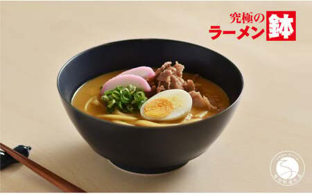 有田焼 究極のラーメン鉢 Colors ネイビー レンゲ付【まるぶんオリジナル】食器 器 うつわ 麺鉢 ラーメン鉢 丼 丼ぶり どんぶり シンプル おしゃれ マット くすみカラー 紺 電子レンジ対応 aw029