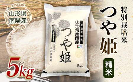 【米食味コンクール金賞受賞農園】 令和7年産 特別栽培米 つや姫 5kg 『しまさき農園』 山形南陽産 米 白米 精米 ご飯 農家直送 山形県 南陽市 [1787]