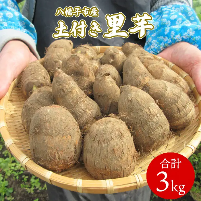 【2025年10月上旬から発送開始予定】 土付き 里芋 約3kg  ＜福祉事業所 ポパイの家＞  ／ さといも 里いも サトイモ  期間限定 産地直送 岩手県産 