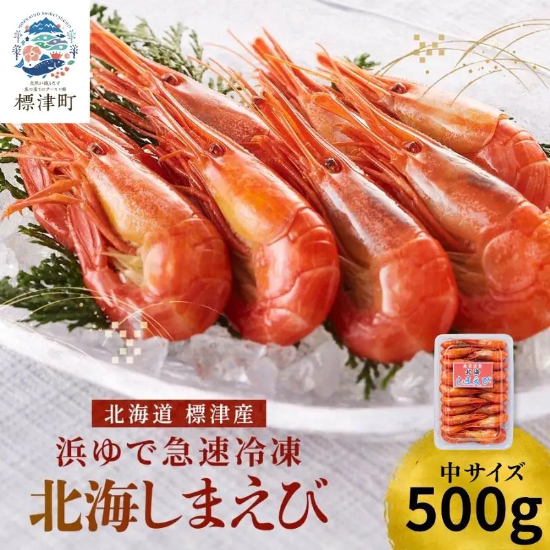 【令和8年 新物】北海しまえび 中 500g (1パック) えび 【AV】