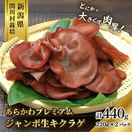 あらかわプレミアムジャンボ生キクラゲ220g×2パック [贈呈用]【配送不可地域：離島】【1442523】