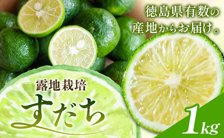 露地栽培すだち 1kg すだち