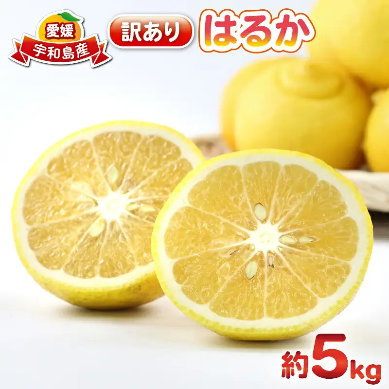 はるか 訳あり はるか 5kg 杉本屋 B010-143008