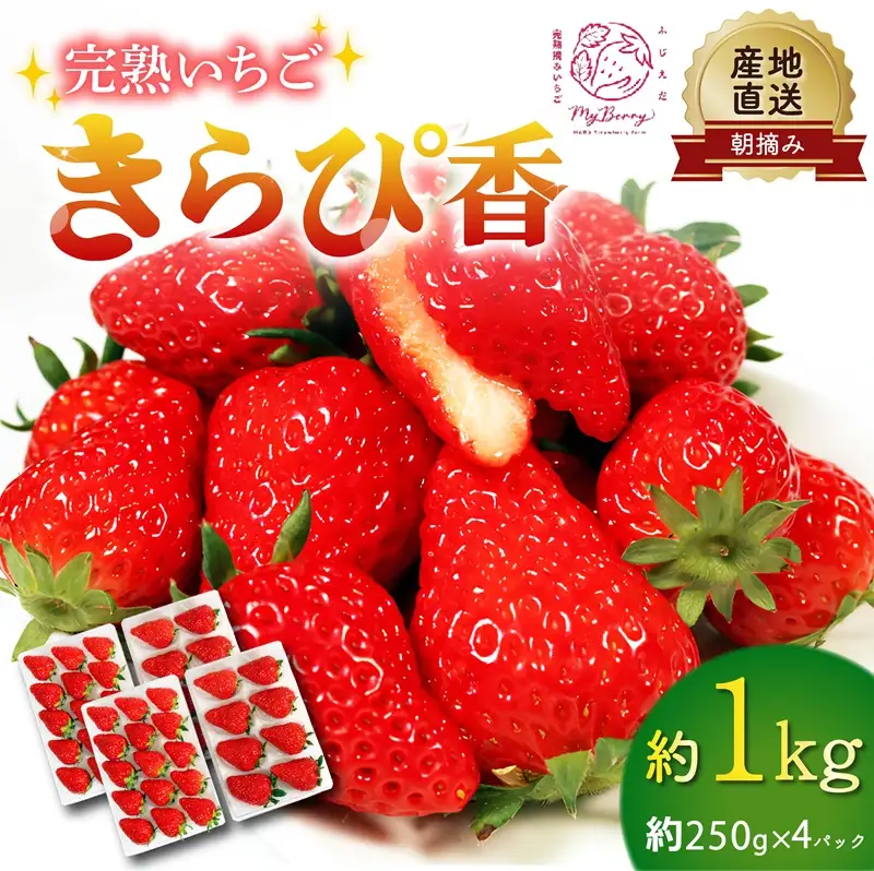 【2027年3月〜5月発送予定】いちご きらぴ香 約1kg いちご