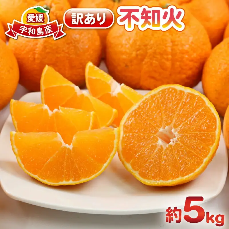 訳あり ( デコポン と同品種) デコポン 杉本屋 B010-143009