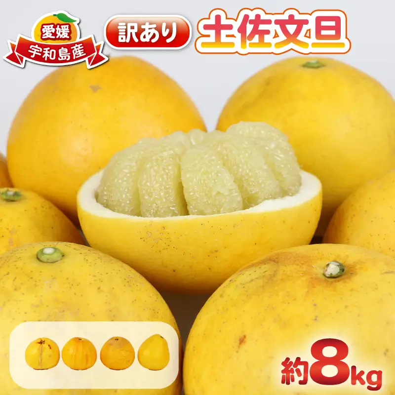 杉本屋 土佐文旦 8kg 文旦［B010-143010］