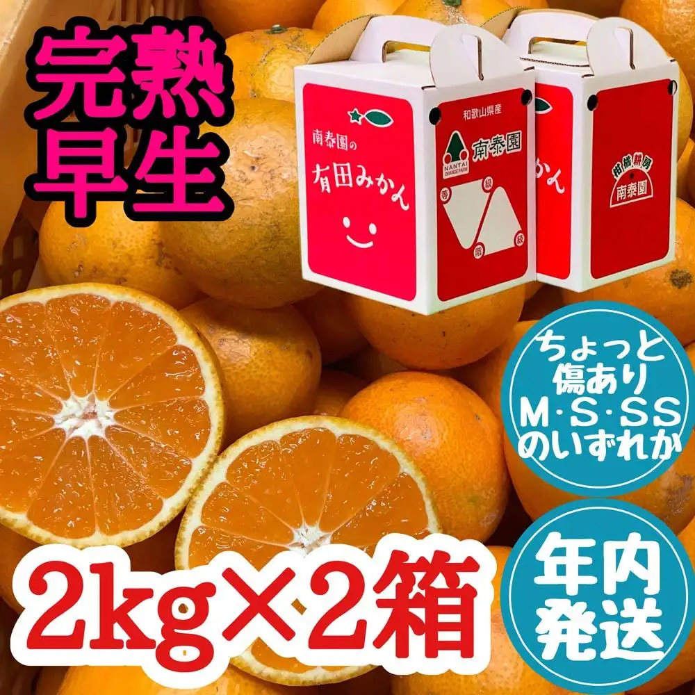 年内発送 ちょっと傷あり 完熟早生 有田みかん M～SS サイズ 2kg × 2箱 手さげ箱 和歌山 南泰園 みかん