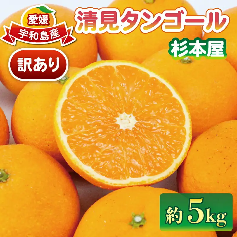訳あり 清見 オレンジ 5kg 杉本屋 オレンジ B010-143011
