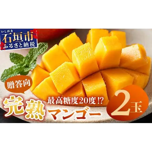 最高糖度20度！？ 完熟の極！石垣島マンゴー 2玉約800g《2027年6月中旬順次発送》【贈答向け】