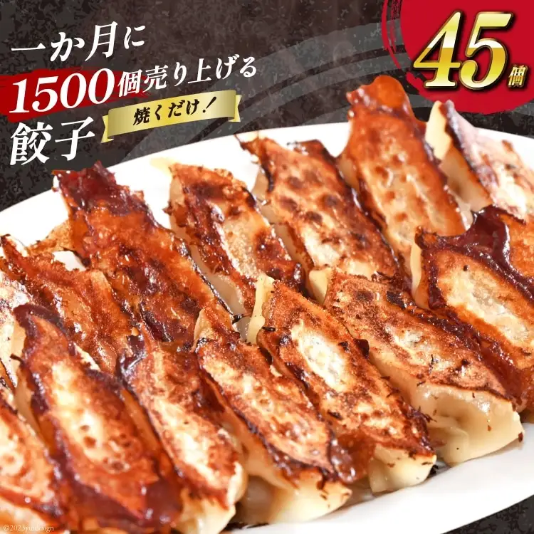 BH019 焼くだけ！一か月に1500個売り上げる餃子 45個（15個×3パック）