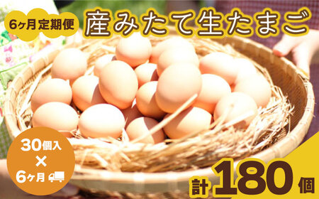 【6回定期便】たまご 計180個 たまご
