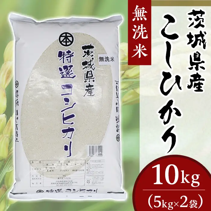 こしひかり 無洗米 10kg 茨城県産 令和7年産【小松崎商事】252