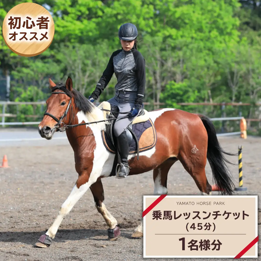 乗馬レッスン１回コース（45分） 乗馬 トレッキング 体験チケット アウトドア  [DE008sa]