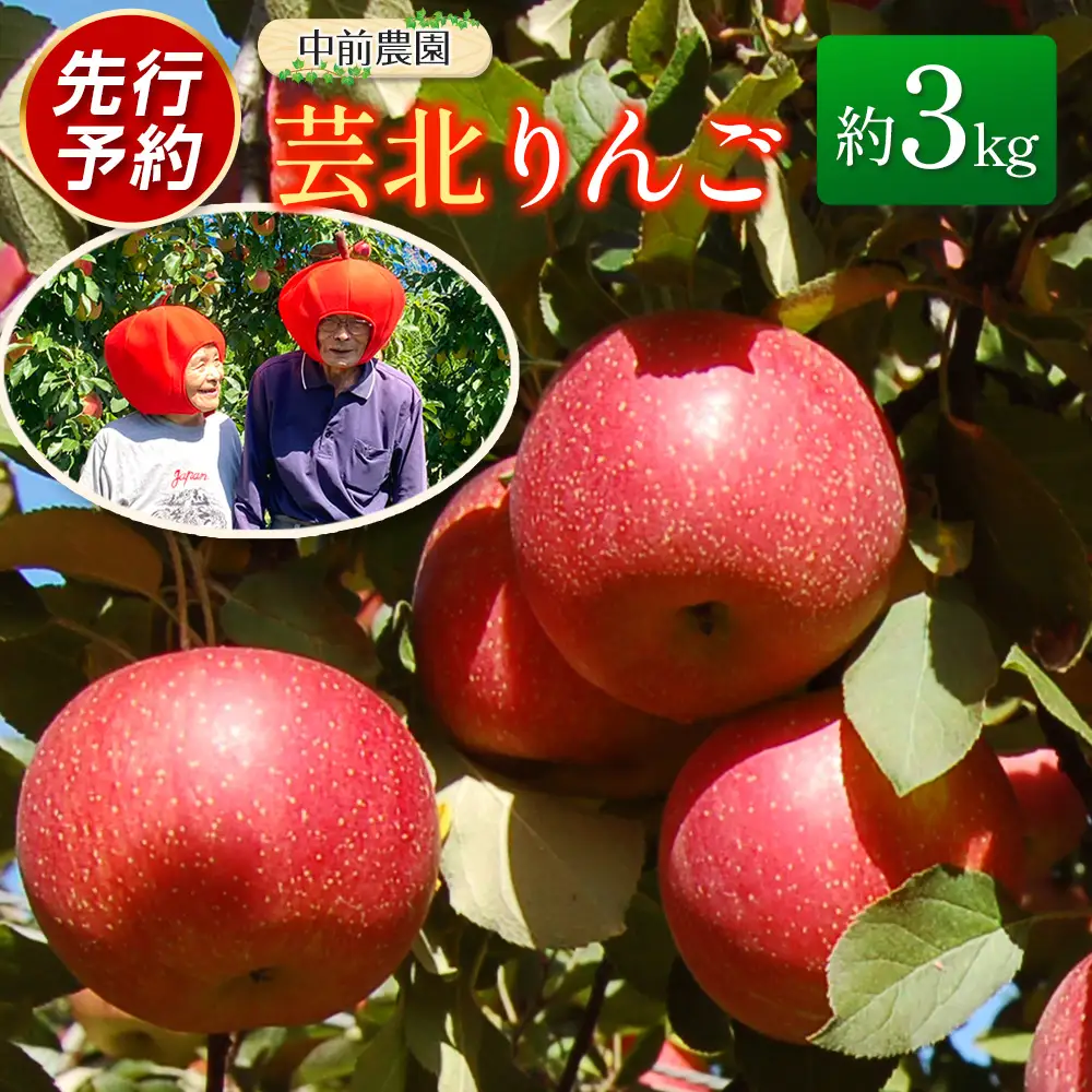 ≪10月中旬以降発送≫りんご 国産 3kg 農家直送 中前農園 芸北りんご 林檎 シナノスイート ぐんま名月 ジョナゴールド ふじ_NA099_001