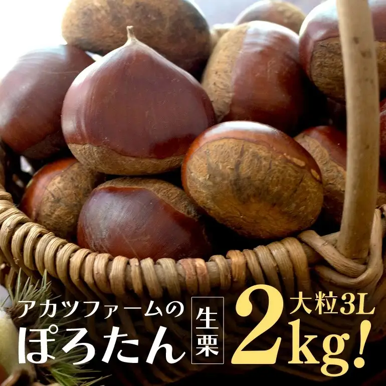 アカツファ－ムのぽろたん 生栗3L 2kg GA-014