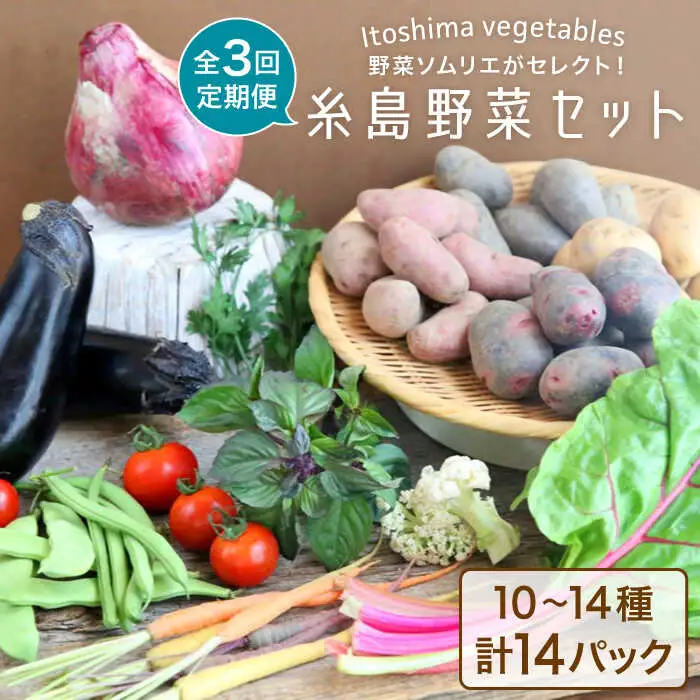 【全3回定期便】旬を味わう 糸島 野菜 セット 10?14種 （14パック） / イタリア野菜 オーガニック 野菜ソムリエ 松永 糸島市 / vegeLabo [AJB004]