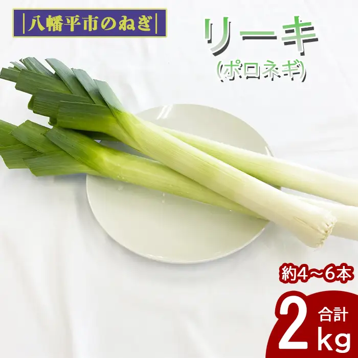 岩手県産 リーキ 2kg 【みのり風土】 ／ 西洋ねぎ ポロネギ ポワロ ポロ ポアロ リーク