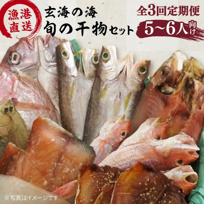【全3回定期便】塩 にも こだわり 玄海 の 海 旬 の 干物 大満足 セット ( 5?6人 向け ) 糸島市 / 福ふくの里 [ALD008]