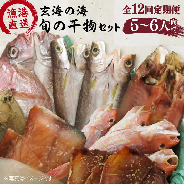 【全12回定期便】塩 にも こだわり 玄海 の 海 旬 の 干物 大満足 セット ( 5?6人 向け ) 糸島市 / 福ふくの里 [ALD010]