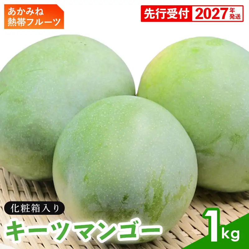 【化粧箱入】【先行受付・2027年発送】あかみね熱帯フルーツのキーツマンゴー 約1kg - 先行予約 沖縄県産 産地直送 南国フルーツ 旬の味覚 季節の果物 希少種 化粧箱 ギフト 沖縄県 八重瀬町