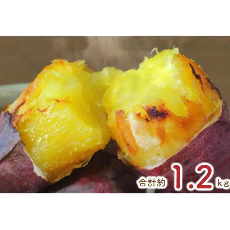 熟成シルクスイート冷凍焼き芋約1kg+おまかせ品種さつまいも　合計約1.2kg｜さつまいも サツマイモ さつま芋 焼き芋 やきいも 冷凍 冷凍焼き芋 シルクスイート 茨城県 行方市(EY-28)