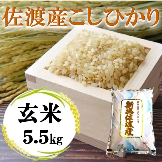【令和7年産】佐渡高千産こしひかり 玄米 5.5kg