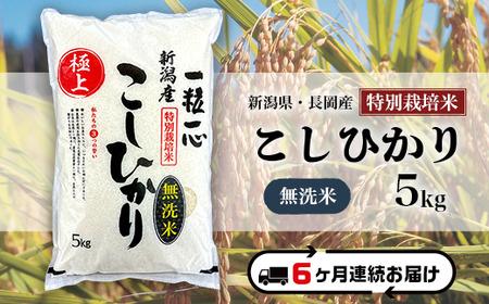 48-8M056【6ヶ月連続お届け】【無洗米】新潟県長岡産特別栽培米コシヒカリ5kg