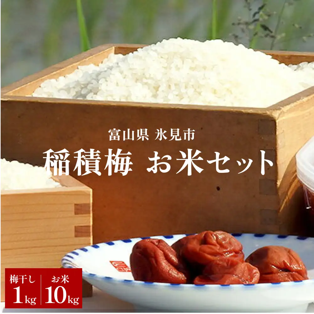 梅干し お米（10kg）付き！　｜　富山県 氷見市 固定種 稲積梅 梅 梅干し 手作り 果実 昔ながら 無添加 酸っぱい 肉厚 お米 セット GI認証 GI登録