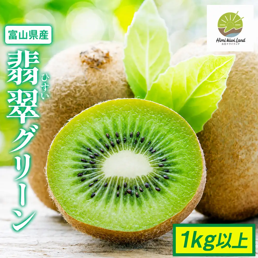 富山県産キウイ（翡翠グリーン）1kg以上（8〜12個）ギフトボックス入り ＜2026年10月以降順次発送＞  | 国産 数量限定 グリーンキウイ 富山 氷見 果物 フルーツ キウイ ギフト プレゼント 希少 品種 甘い