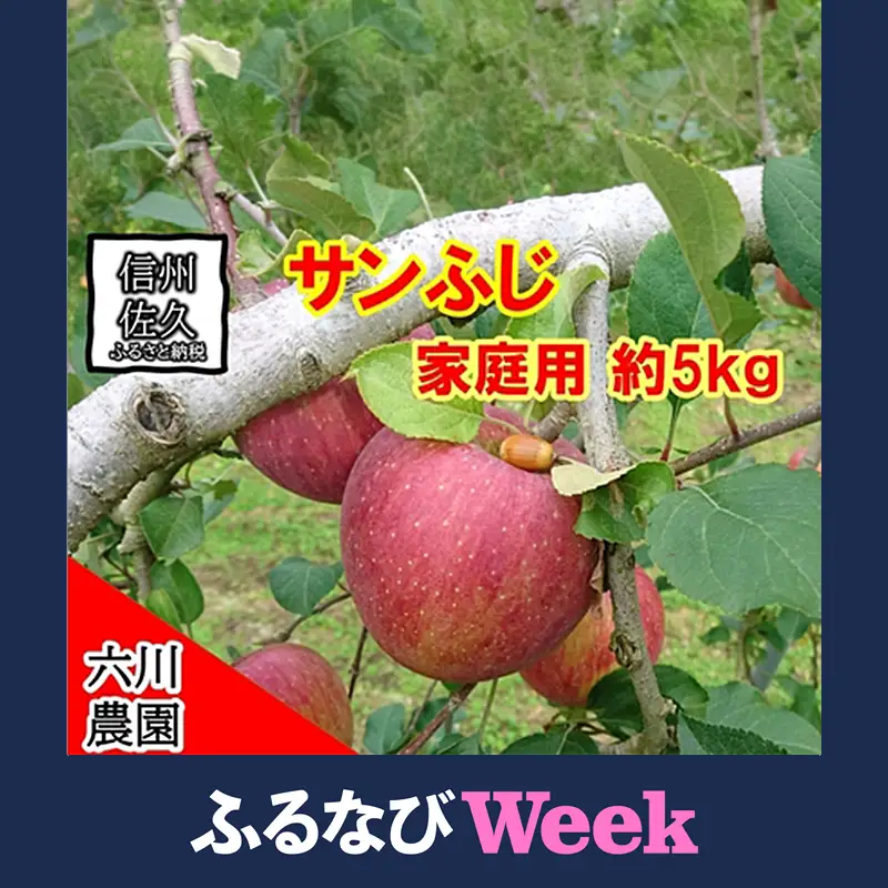 【ふるなびWEEK対象】長野県産 サンふじ りんご 家庭用 約5kg （14～25玉）〈2026年12月出荷分／北海道・沖縄県・離島は配送不可〉信州 果物 旬彩 先行予約 季節限定