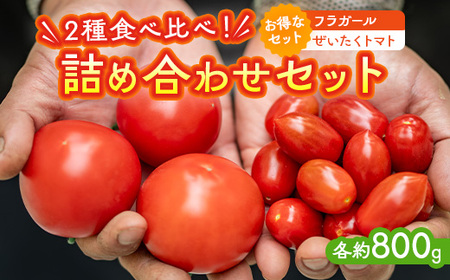 うえの農園トマト詰め合わせセット ぜいたくトマト ミニトマト◇
