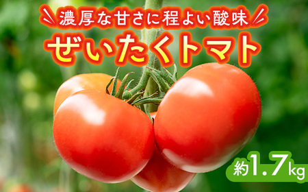 ぜいたくトマト 約1.7kg◇