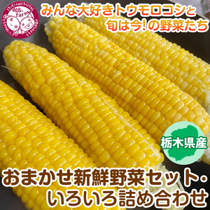 みんな大好きトウモロコシと旬は今！の野菜たち【栃木県産おまかせ新鮮野菜セット・いろいろ詰め合わせ】｜ にんじん オクラ きゅうり じゃがいも トマト 玉ねぎ 大根 枝豆… ※2022年6月～8月頃に順次発送予定◇