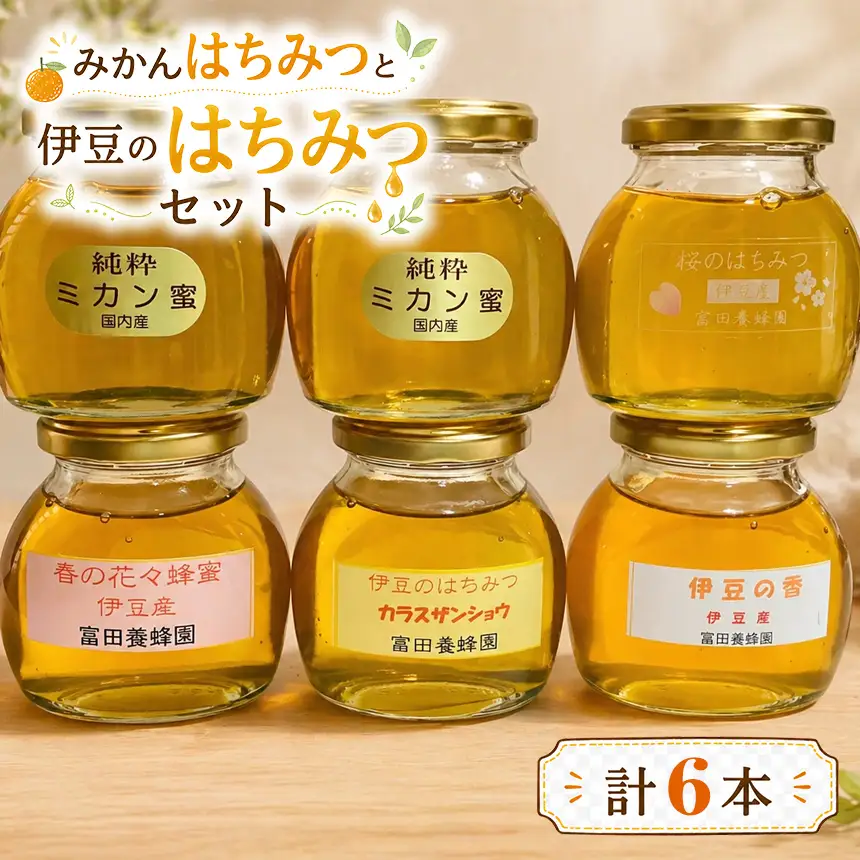 富田養蜂園　みかんはちみつと伊豆のはちみつセット（200g×6本）
