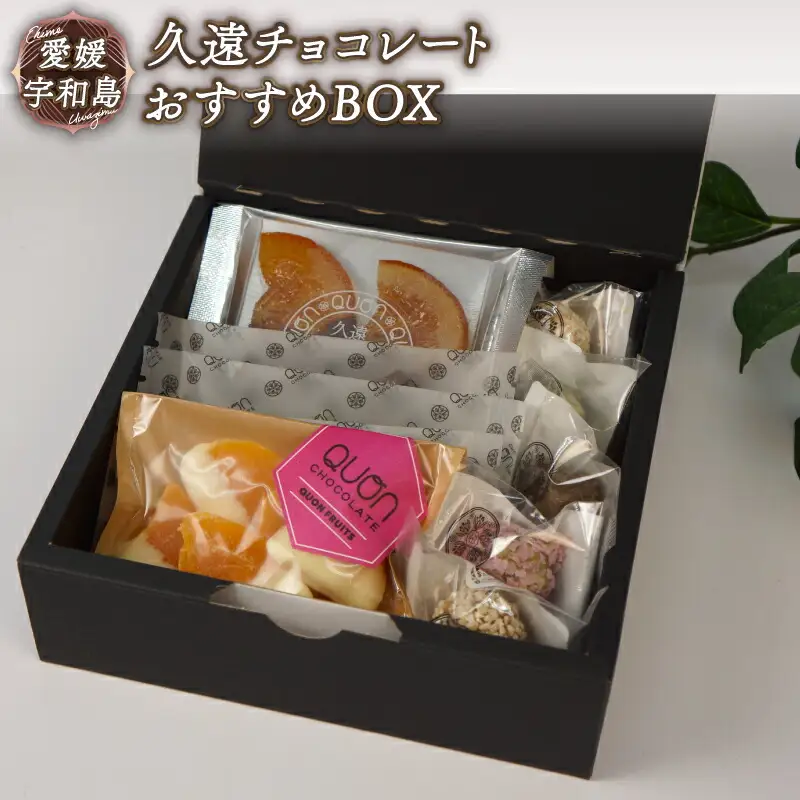 ちょこちょこ 久遠チョコレート おすすめ セット チョコレート J010-167004