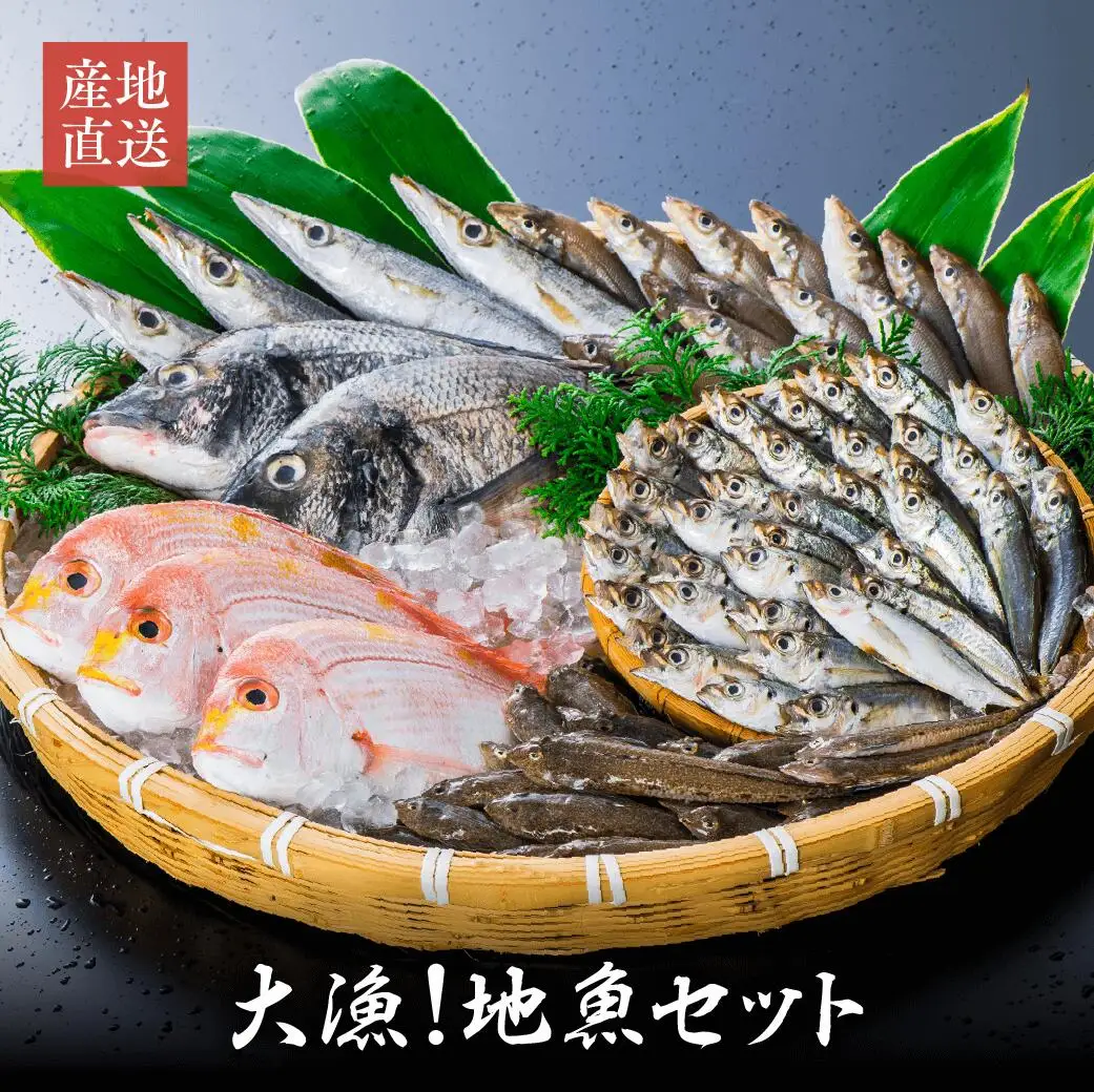 獲れたら発送！！地魚セット(高田魚市場) | 豊後高田市 魚セット
