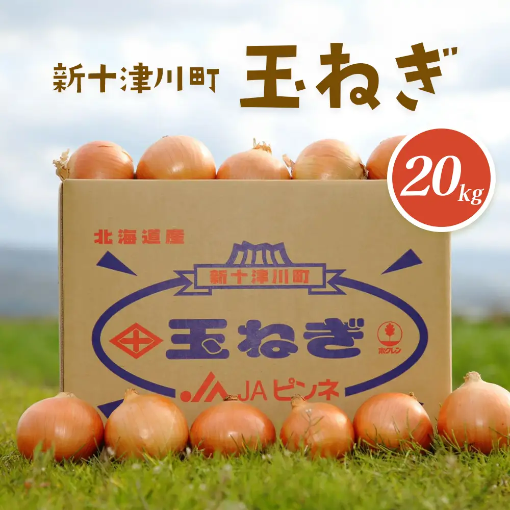 【先行受付】玉ねぎ Lサイズ（20kg）【令和8年10月～12月中旬発送】【1200202】